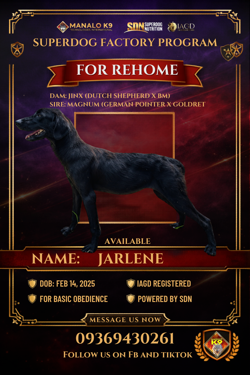 SDF JARLENE