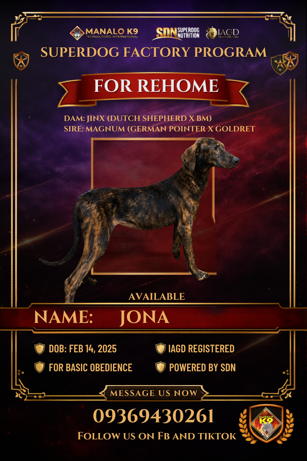 SDF JONA